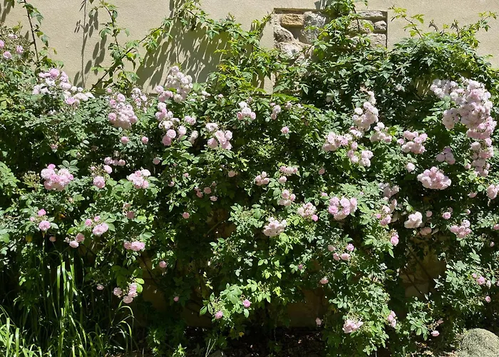 بيت للعطل Casa Con Jardin Y Piscina En *