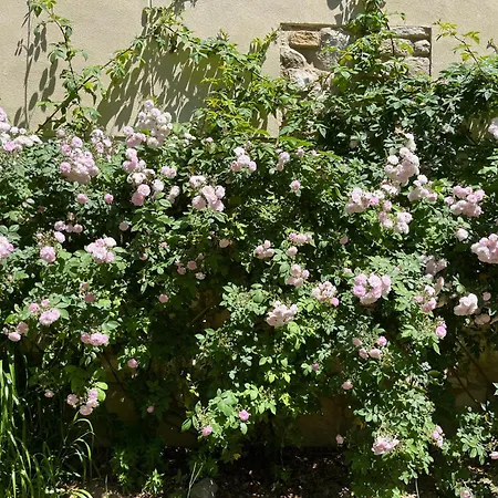 Сasa de vacaciones Casa Con Jardín Y Piscina En *